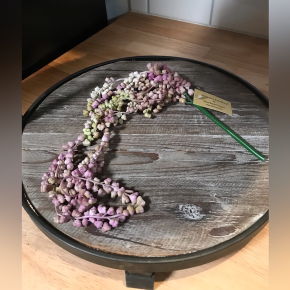 Direct Export Other - String of pearls spray 19”